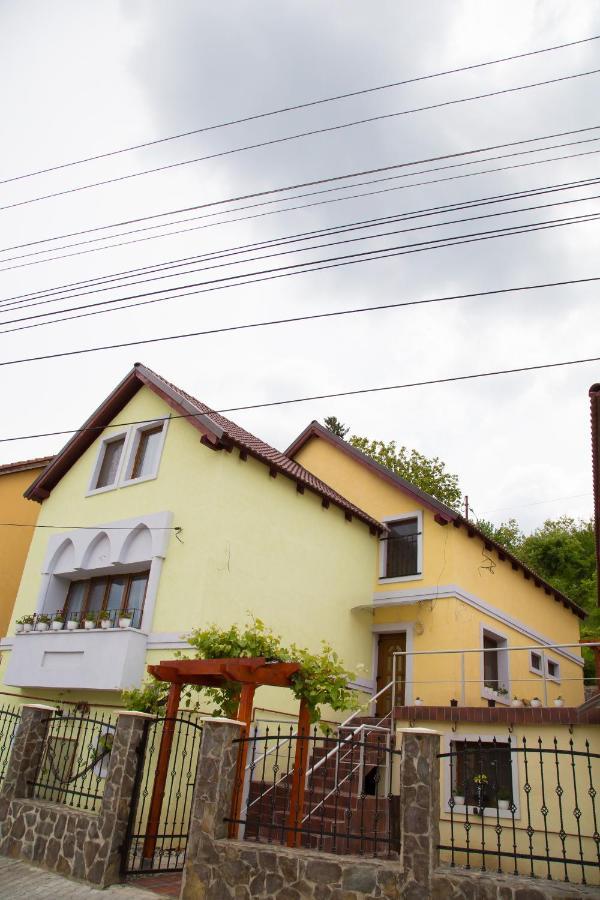Cosbuc Residence&Villa Sighişoara Esterno foto